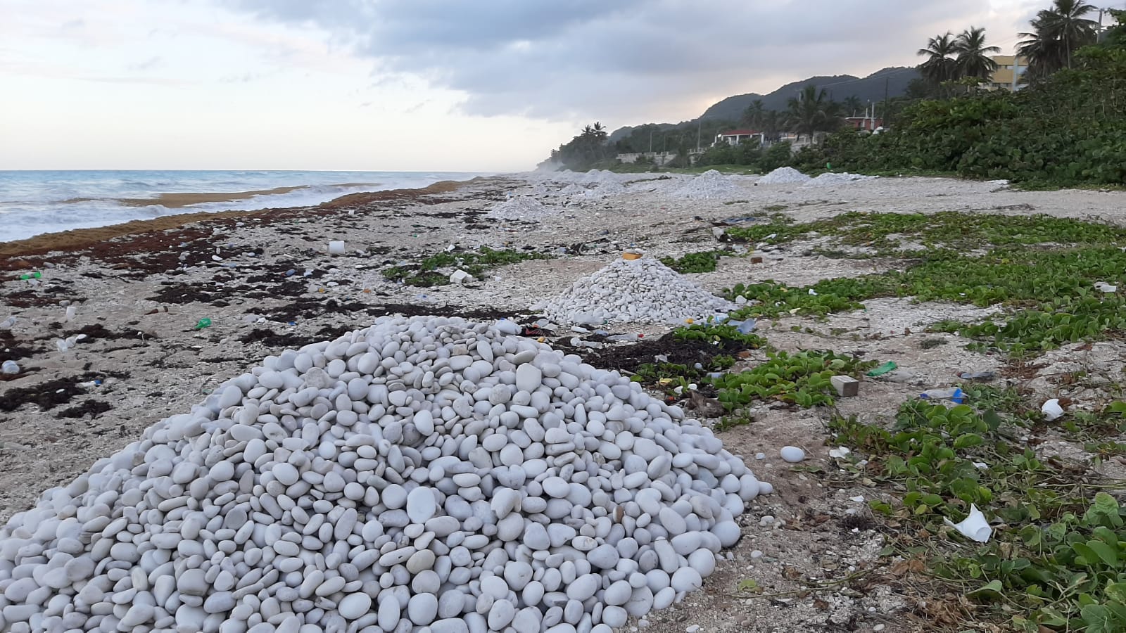 Acusan haitianos de depredar playa Paraíso en República Dominicana