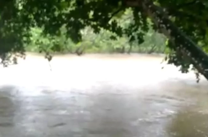 Reportan creciente del Rio El Papayo; alertan comunidades por posibles inundaciones