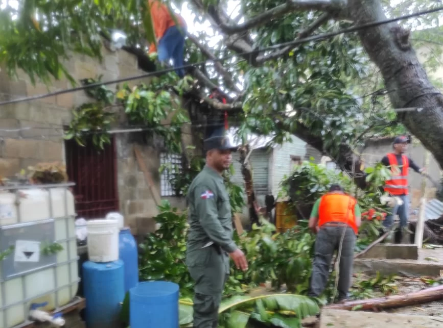 Fiona provoca caía de árbol sobre casa en Los Pajones; organismos van en su axilio