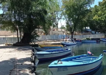 Avanza el esperado remozamiento de la Laguna Gri-Grí y su entorno