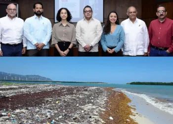Zargazo que llega a R.Dominicana será convertido en biofertilizante