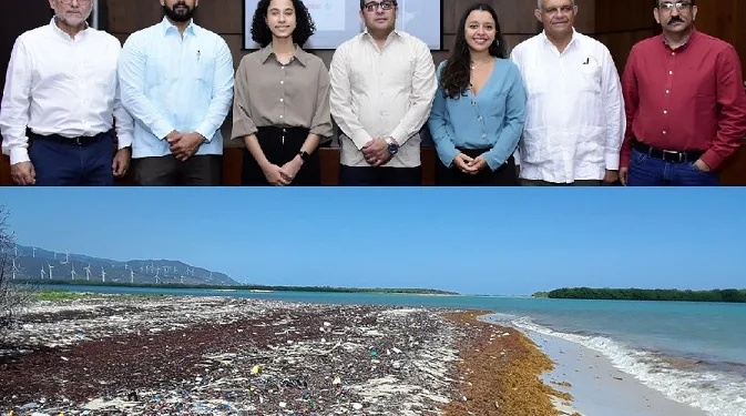 Zargazo que llega a R.Dominicana será convertido en biofertilizante