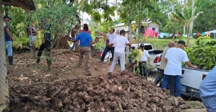 Ministerio de Agricultura entrega plantas a productores de Arroyo al  Medio.