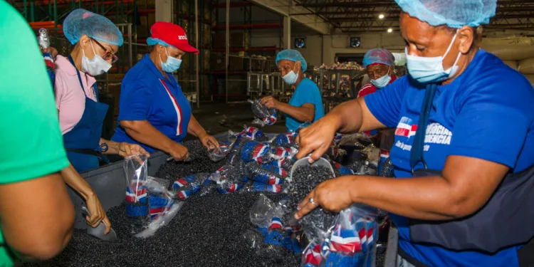 Presidente Luis Abinader instruye entrega de kits de  raciones alimenticias para provincias en alerta