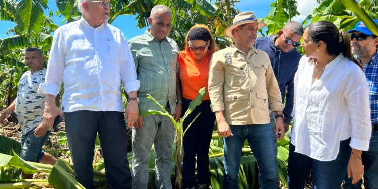 Ministro Limber Cruz supervisa en Azua zonas agrícolas afectada por la tormenta  Franklin y dispone  de ayuda a productores