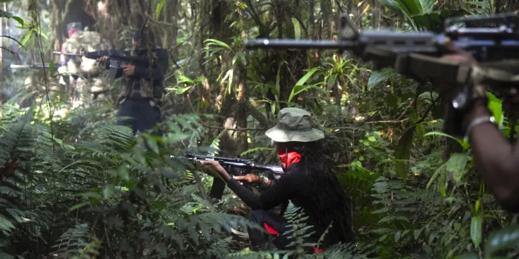 Alerta en Cauca-Colombia por graves enfrentamientos entre guerrillas