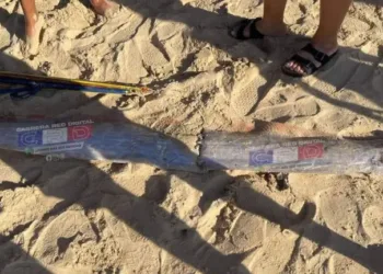 Capturan pez remo gigante en costa de Río San Juan; es el segundo en RD