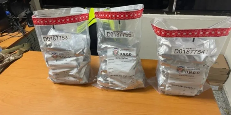 Decomisan 16 paquetes de marihuana en fundas de sopa instantánea que llegaron desde Miami