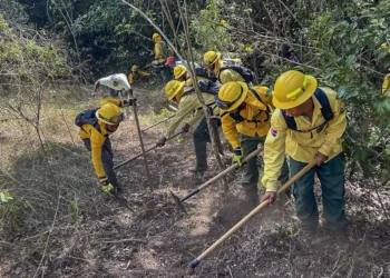 Bomberos combaten unos 55 incendios forestales en la RD