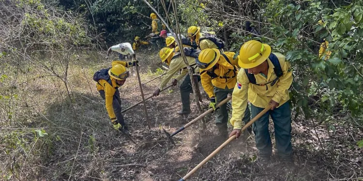 Bomberos combaten unos 55 incendios forestales en la RD