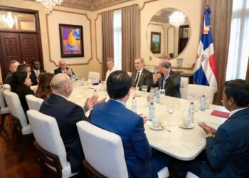 Presidente se reúne con miembros Consejo de Seguridad de la ONU