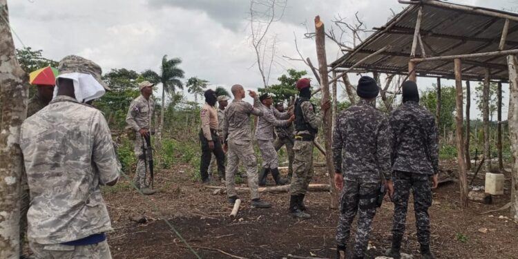 Operativo Los Haitises deja 439 detenidos por delitos ambientales