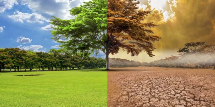 Cambio climático amenaza a 41 mm personas en Latinoamérica