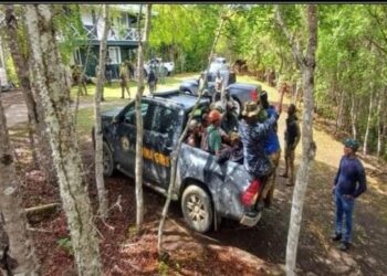 246 detenidas personas por incendio forestales en Los Haitises
