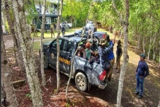 246 detenidas personas por incendio forestales en Los Haitises