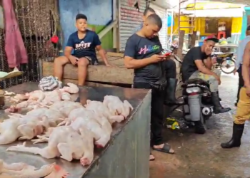 Venta de pollo continúa en alza; Libra se vende entre RD$85 y RD$100 en María Trinidad Sánchez