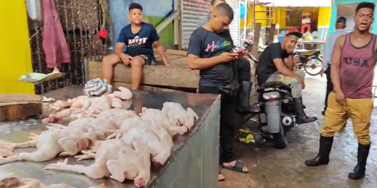 Venta de pollo continúa en alza; Libra se vende entre RD$85 y RD$100 en María Trinidad Sánchez