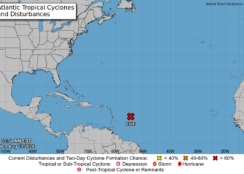 Se forma ciclón tropical número cinco de la temporada; posee vientos máximos de 45 kph