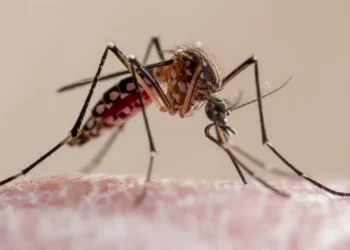 Seis muertos y más de tres mil casos asociados al dengue en lo que va del año en Puerto Rico
