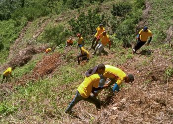 Privados de libertad plantan más de tres mil árboles este año 2024