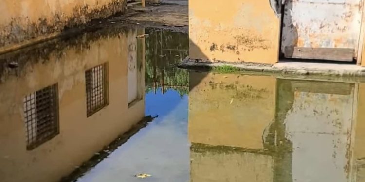 Inundaciones recurrentes afectan al sector Santa Lucía en Río San Juan