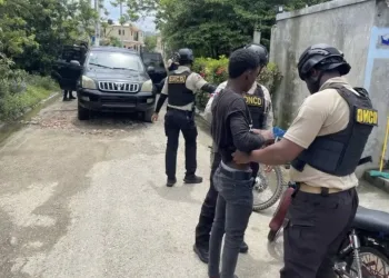 DNCD desmantela red de microtráfico en María Trinidad Sánchez; 24 arrestos y más de 3.7 kilos de drogas incautadas