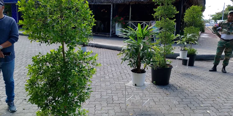 Río San Juan inaugura calle peatonal frente a la Laguna Gri Gri para impulsar el turismo y la economía local