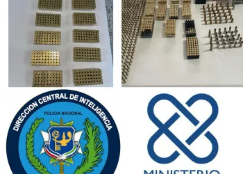 Ocupan más de mil cápsulas de diferentes calibres en allanamiento en Nagua