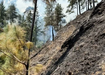 Bomberos Forestales: «Controlado incendio forestal en Los Tramojos, San José de Ocoa»