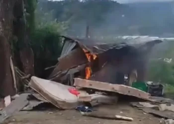 Desmantelan nueve casuchas en áreas protegidas de la Sierra de Bahoruco