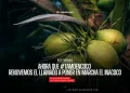 Ahora que #TamoEnCoco renovemos el llamado a poner en marcha el INACOCO