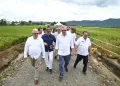 Presidente Abinader da inicio a la cosecha de arroz 2025 con proyecciones históricas de producción